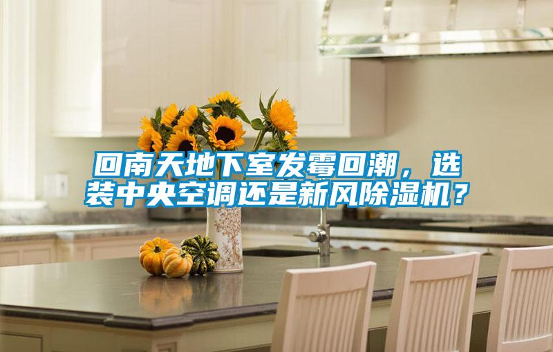 回南天地下室發(fā)霉回潮<div   id=