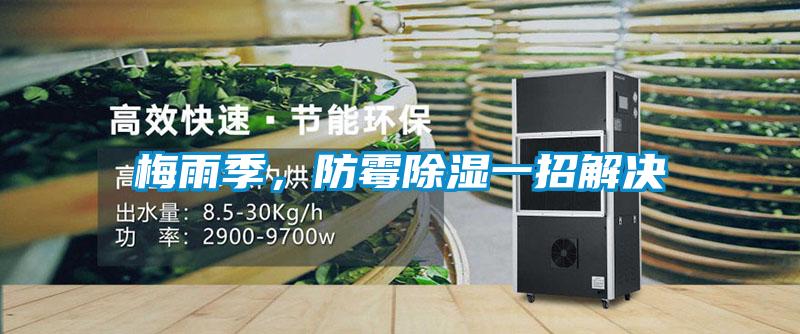 梅雨季<div   id=