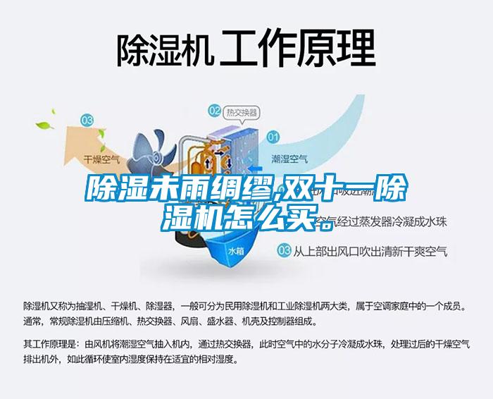 除濕未雨綢繆,雙十一除濕機怎么買<div   id=