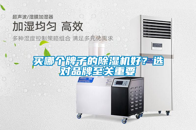 買哪個牌子的除濕機好<div   id=