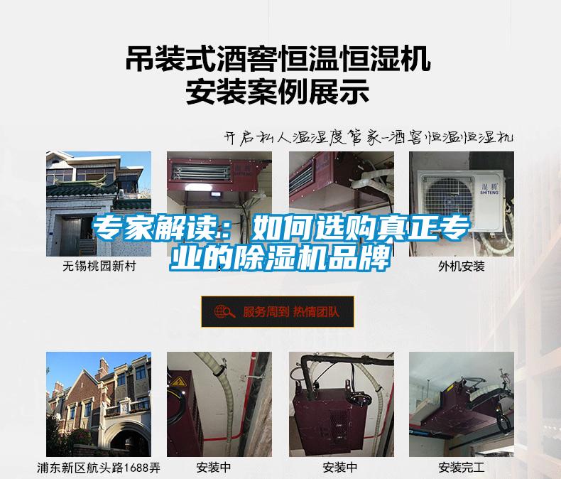 專家解讀:如何選購真正專業(yè)的除濕機(jī)品牌
