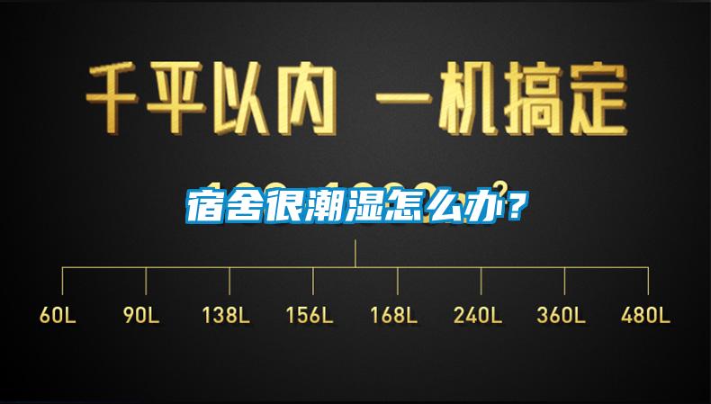 宿舍很潮濕怎么辦<div   id=