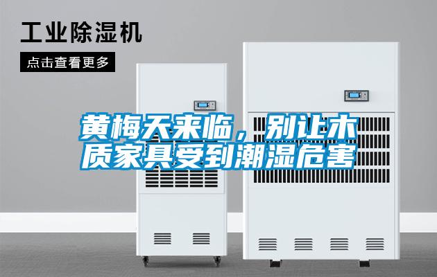 黃梅天來臨<div   id=