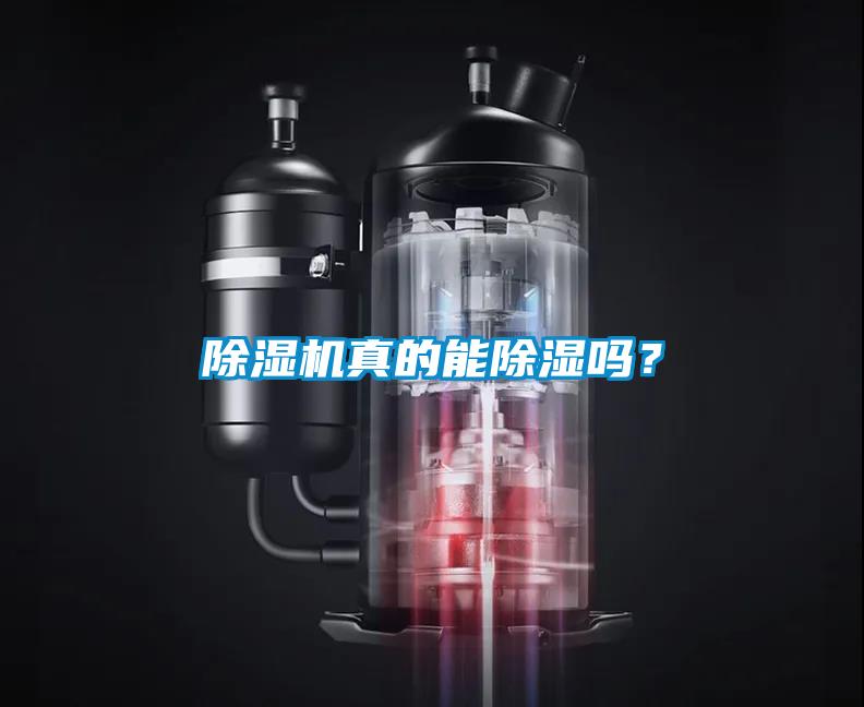 除濕機真的能除濕嗎<div   id=