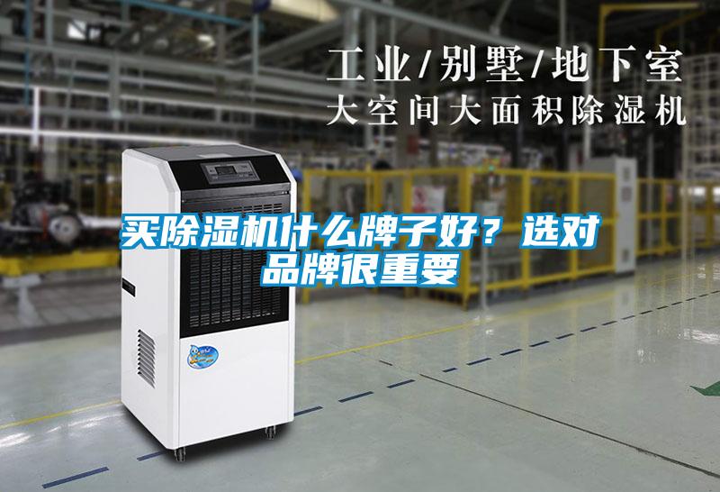 買除濕機什么牌子好?選對品牌很重要