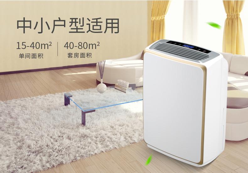 別墅除濕機(jī)<div   id=