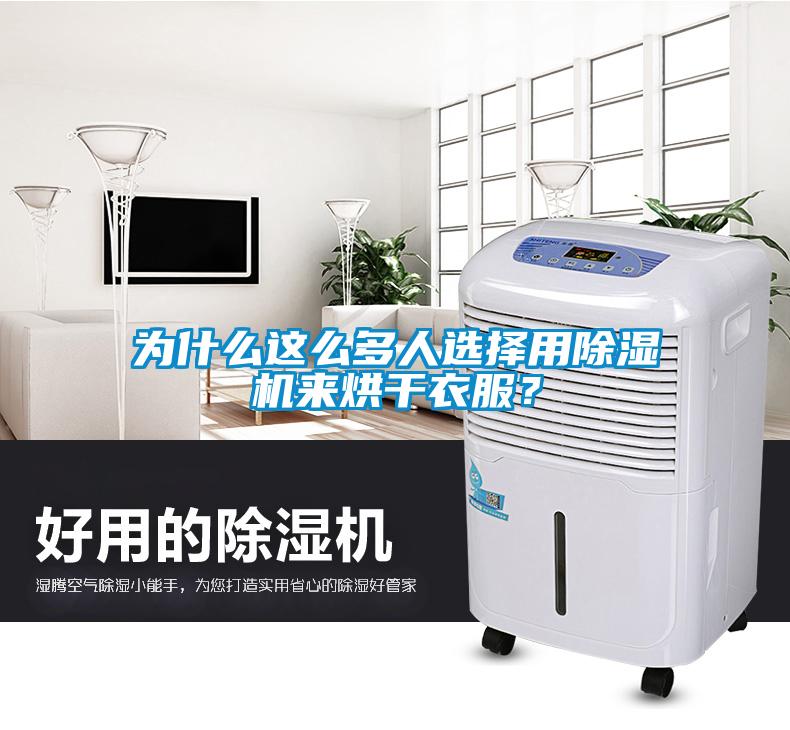 為什么這么多人選擇用除濕機(jī)來(lái)烘干衣服?