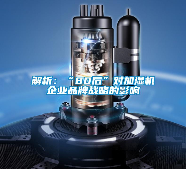 解析:“80后”對(duì)加濕機(jī)企業(yè)品牌戰(zhàn)略的影響