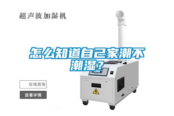 怎么知道自己家潮不潮濕<div   id=