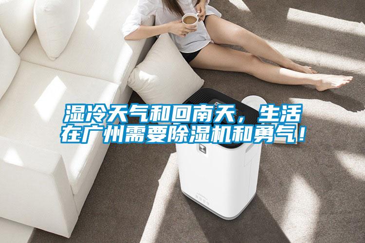 濕冷天氣和回南天，生活在廣州需要除濕機和勇氣<div   id=