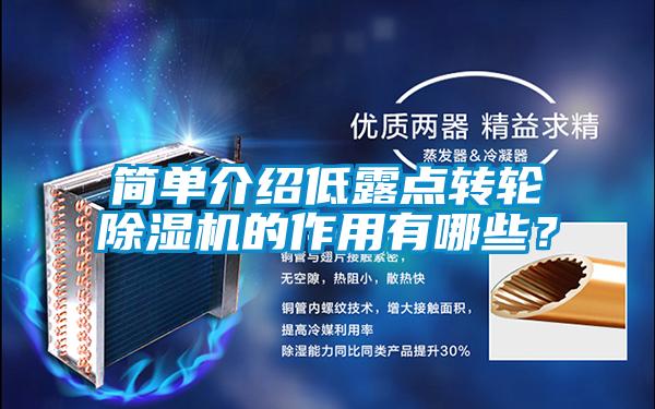 簡(jiǎn)單介紹低露點(diǎn)轉(zhuǎn)輪除濕機(jī)的作用有哪些<div   id=
