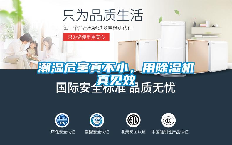 潮濕危害真不小<div   id=
