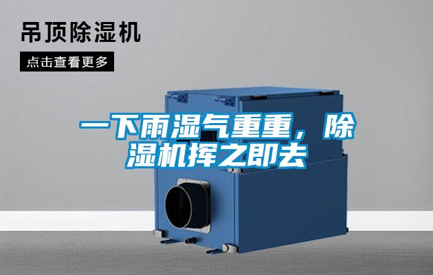 一下雨濕氣重重,除濕機揮之即去