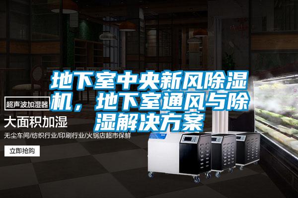 地下室中央新風(fēng)除濕機<div   id=