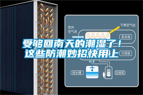 受夠回南天的潮濕了<div   id=