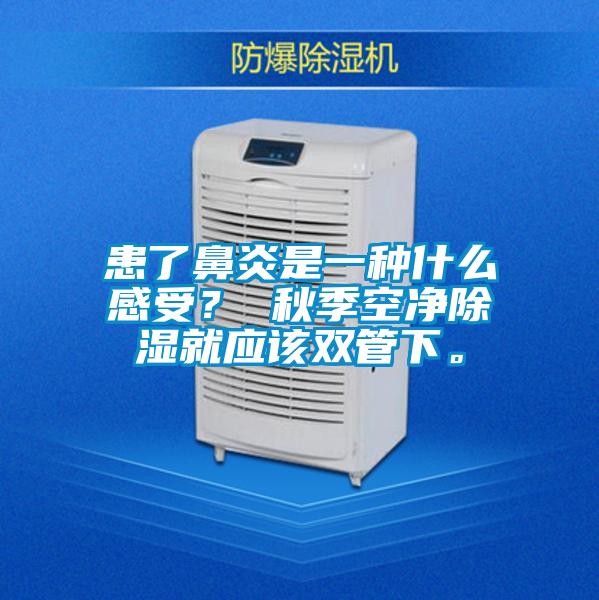 患了鼻炎是一種什么感受<div   id=