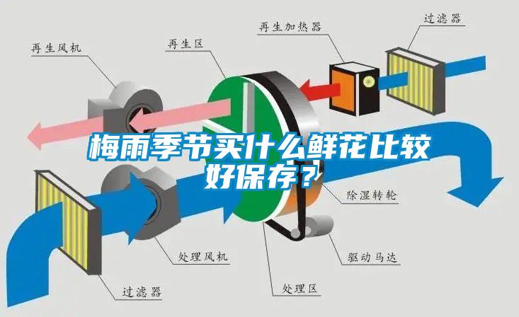 梅雨季節(jié)買什么鮮花比較好保存<div   id=