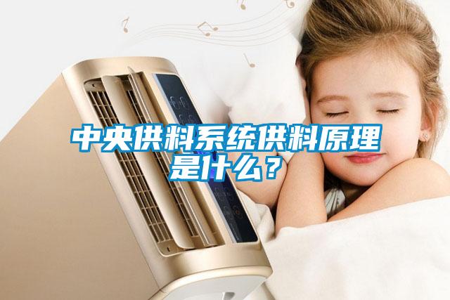 中央供料系統(tǒng)供料原理是什么?