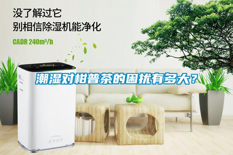 潮濕對(duì)柑普茶的困擾有多大<div   id=