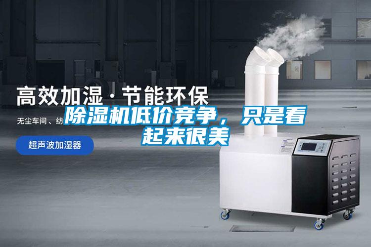 除濕機(jī)低價(jià)競爭<div   id=
