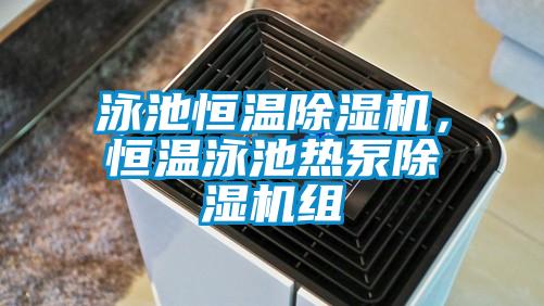 泳池恒溫除濕機<div   id=