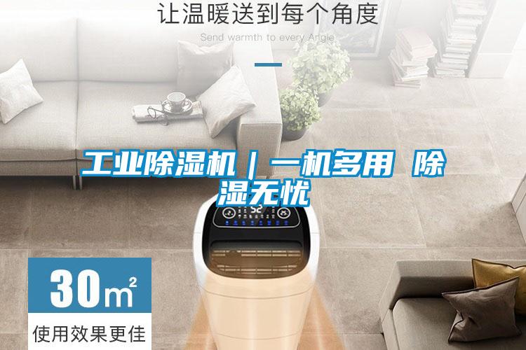 工業(yè)除濕機(jī)|一機(jī)多用 除濕無(wú)憂