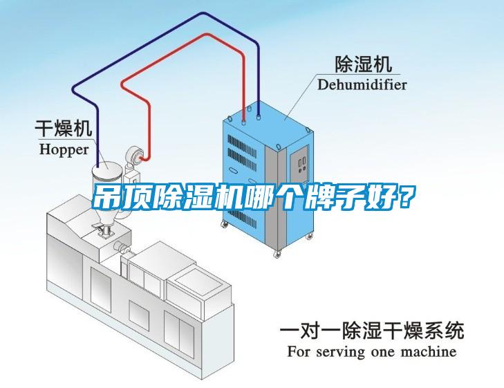 吊頂除濕機哪個牌子好<div   id=