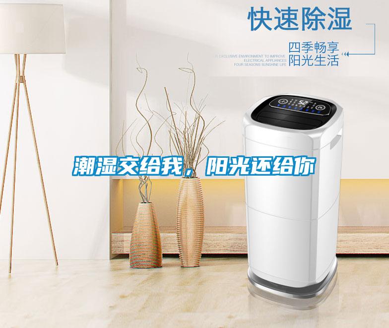潮濕交給我<div   id=