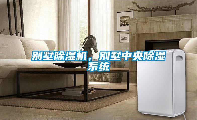 別墅除濕機,別墅中央除濕系統(tǒng)