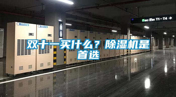 雙十一買什么?除濕機是首選