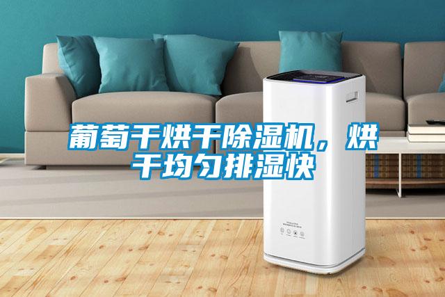 葡萄干烘干除濕機<div   id=
