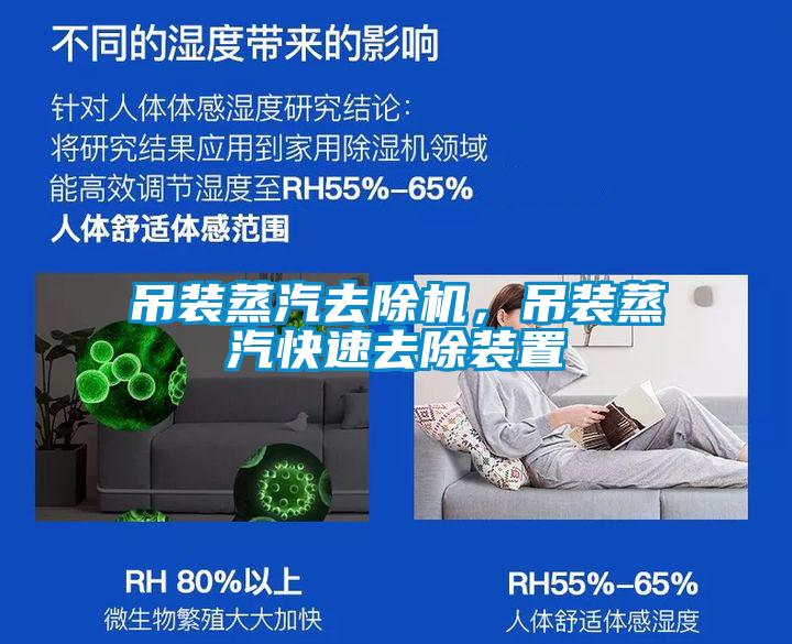 吊裝蒸汽去除機(jī),吊裝蒸汽快速去除裝置