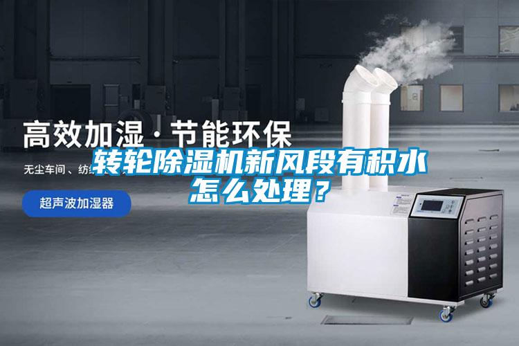 轉(zhuǎn)輪除濕機(jī)新風(fēng)段有積水怎么處理<div   id=