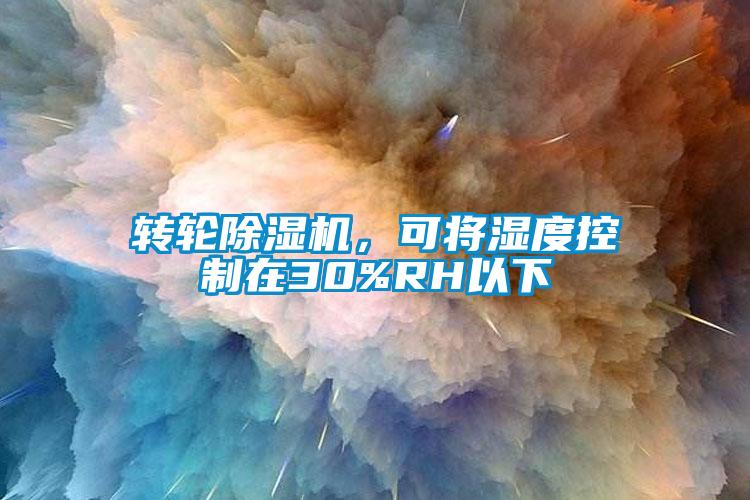 轉(zhuǎn)輪除濕機(jī)<div   id=