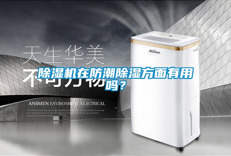 除濕機(jī)在防潮除濕方面有用嗎<div   id=
