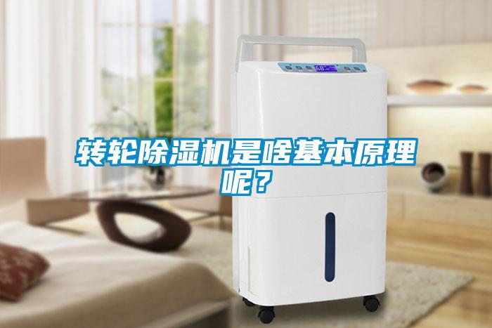 轉(zhuǎn)輪除濕機(jī)是啥基本原理呢<div   id=