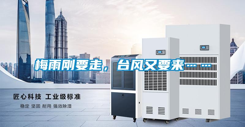 梅雨剛要走<div   id=