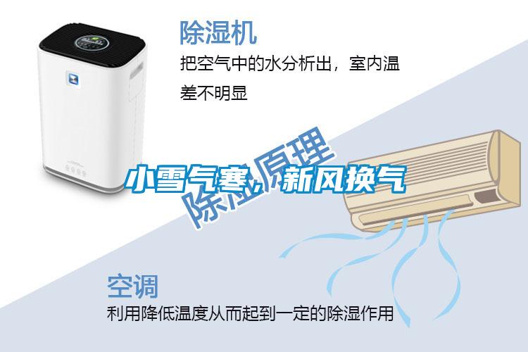 小雪氣寒<div   id=