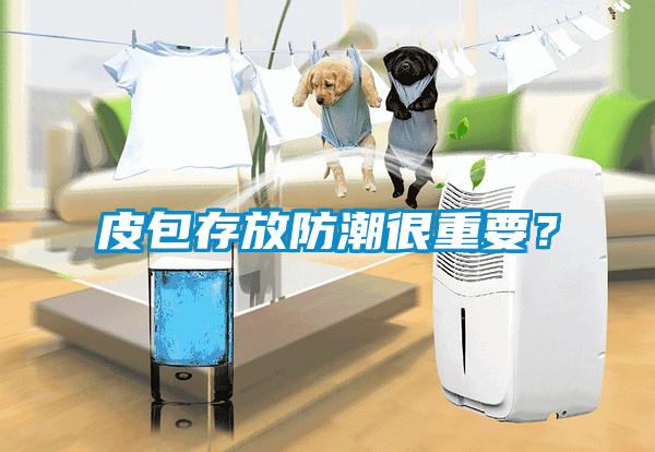 皮包存放防潮很重要<div   id=