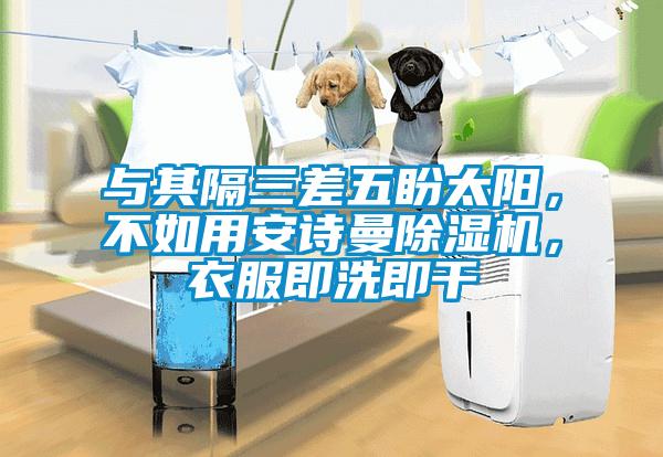 與其隔三差五盼太陽<div   id=