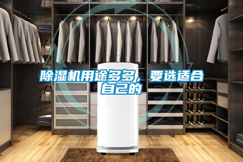 除濕機用途多多<div   id=