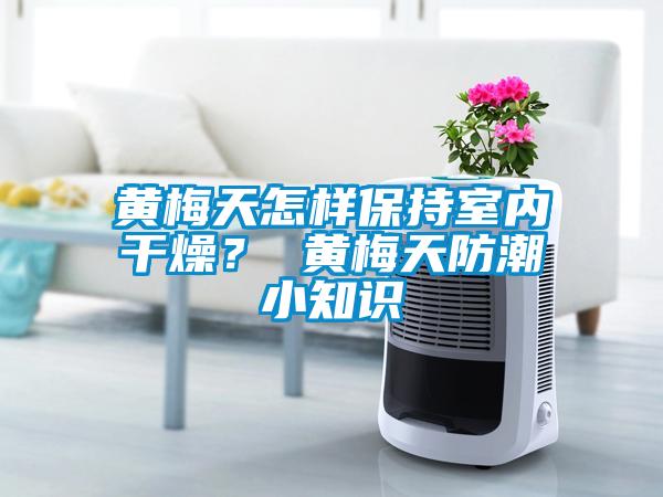 黃梅天怎樣保持室內(nèi)干燥<div   id=