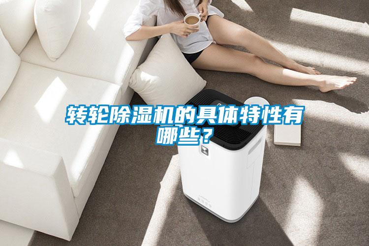 轉(zhuǎn)輪除濕機(jī)的具體特性有哪些<div   id=