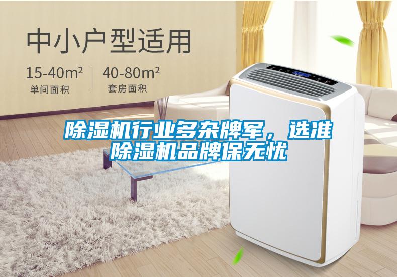 除濕機行業(yè)多雜牌軍<div   id=