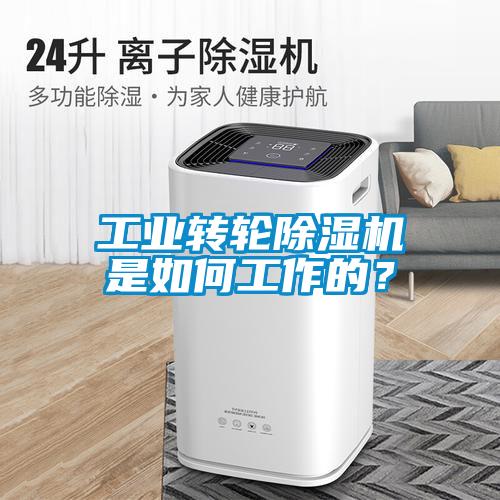 工業(yè)轉(zhuǎn)輪除濕機(jī)是如何工作的？