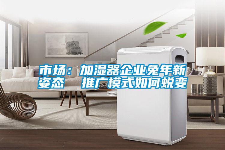 市場:加濕器企業(yè)兔年新姿態(tài) 推廣模式如何蛻變