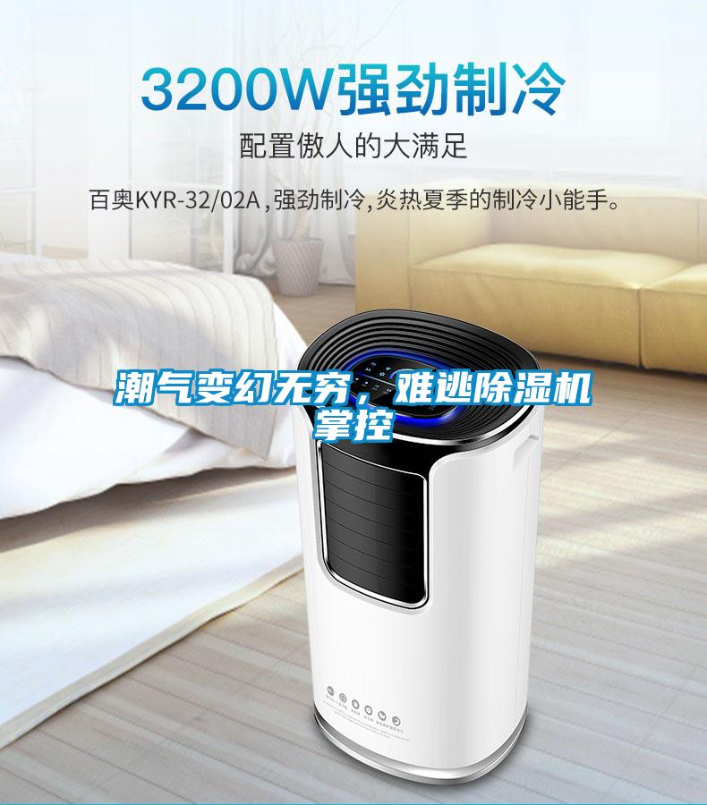 潮氣變幻無窮,難逃除濕機(jī)掌控