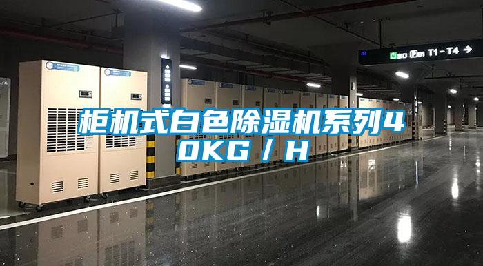 柜機(jī)式白色除濕機(jī)系列40KG/H