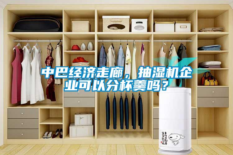 中巴經(jīng)濟(jì)走廊<div   id=