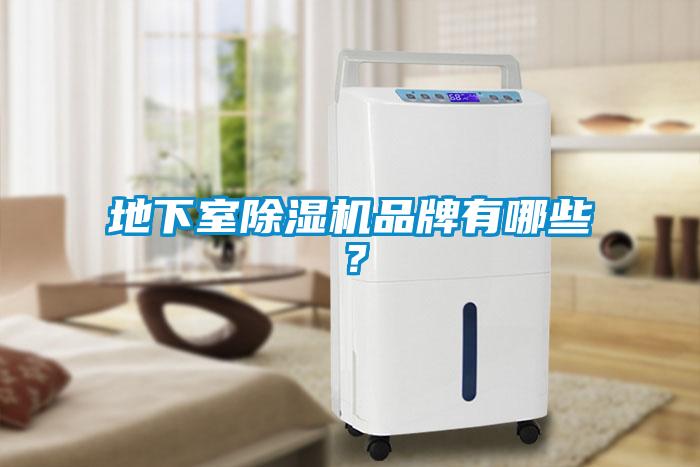 地下室除濕機品牌有哪些<div   id=